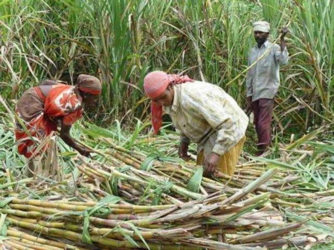 Corona helpline avoids starvation of laborers; in Baramati's social obligation | 'कोरोना हेल्पलाईन'मुळे अडकलेल्या ऊसतोडणी मजुरांची उपासमार टळली; बारामतीची सामाजिक बांंधिलकी 