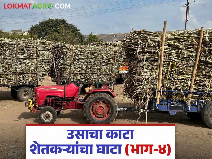 Let's start weighing system from the public treasury and put an end to the sugarcane weight looting from sugarcane factories | लोकवर्गणीतून काटा उभारूया अन् कारखान्यांच्या काटामारीतील लुटीला पायबंद घालूया Let's start weighing system from the public treasury and put an end to the sugarcane weight looting from sugarcane factories | लोकवर्गणीतून काटा उभारूया अन् कारखान्यांच्या काटामारीतील लुटीला पायबंद घालूया