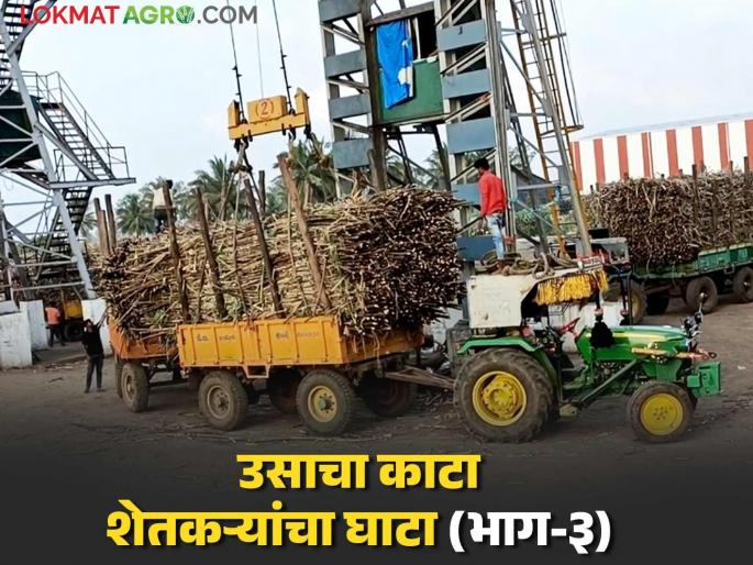 The flying squad that caught the sugarcane thieves is weight, the raid is just a thrill; Read in detail how the works | उसाची काटेमारी पकडणारे भरारी पथक फरार, छाप्याचा नुसताच थरार; कसं चालतं काम वाचा सविस्तर The flying squad that caught the sugarcane thieves is weight, the raid is just a thrill; Read in detail how the works | उसाची काटेमारी पकडणारे भरारी पथक फरार, छाप्याचा नुसताच थरार; कसं चालतं काम वाचा सविस्तर
