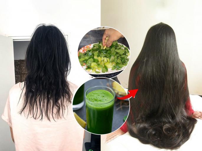 use of amla for fast hair growth, how to make amla juice, use of aavla for skin and hair | केसांची वाढ होण्यासाठी आवळ्याचा खास उपाय! गुडघ्यापर्यंत लांब होतील केस, त्वचाही हाेईल सुंदर use of amla for fast hair growth, how to make amla juice, use of aavla for skin and hair | केसांची वाढ होण्यासाठी आवळ्याचा खास उपाय! गुडघ्यापर्यंत लांब होतील केस, त्वचाही हाेईल सुंदर