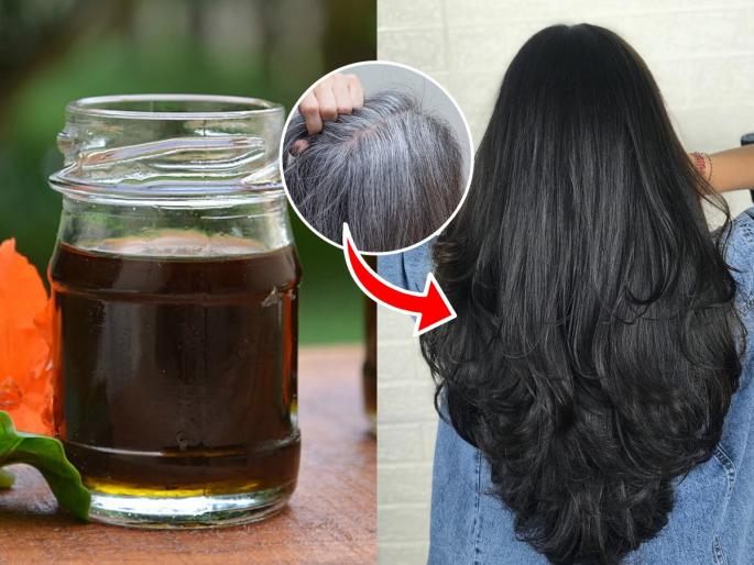 how to make henna oil for naturally black hair, how to get rid of black hair, home hacks for naturally black and shiny hair  | केस भराभर पिकू लागले? 'या' पद्धतीने मेहेंदीचं तेल करून केसांना लावा, नॅचरली काळे होतील