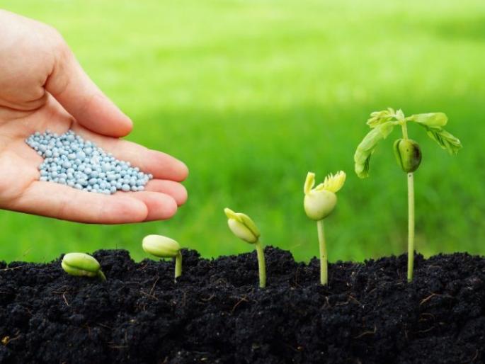 Use of 'nanotechnology' on crops now! | पिकांवर आता ‘नॅनो टेक्नालॉजी’चा वापर !