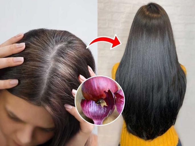 use onion peel to make black hair dye onion peel natural black hair dye at home how to make onion peel natural black hair dye | कांद्याची सालं फेकू नका ‘असा’ करा नॅचरल हेअर कलर, पांढरे केसही होतील काळेभोर.. use onion peel to make black hair dye onion peel natural black hair dye at home how to make onion peel natural black hair dye | कांद्याची सालं फेकू नका ‘असा’ करा नॅचरल हेअर कलर, पांढरे केसही होतील काळेभोर..
