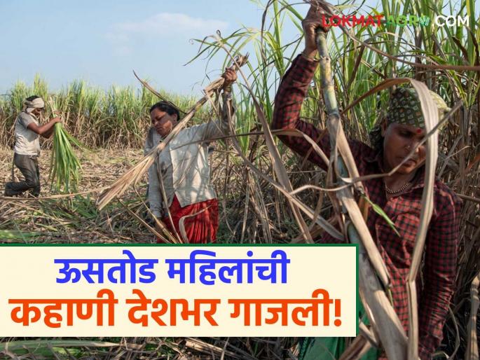 latest news Ustod Mahila Kamgar: Beed women Uterus removal issue raised in Parliament | Ustod Mahila Kamgar: बीडच्या ऊसतोड महिलांची वेदना संसदेत; सरकारकडून चौकशी आदेश!