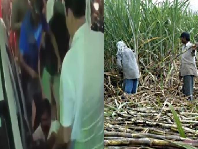 Rush to cut sugarcane as MDs are beaten; Readiness of Rajaram Factory kolhapur | Kolhapur: एमडींना मारहाण होताच ऊस तोडून नेण्याची घाई; राजाराम कारखान्याची तत्परता 