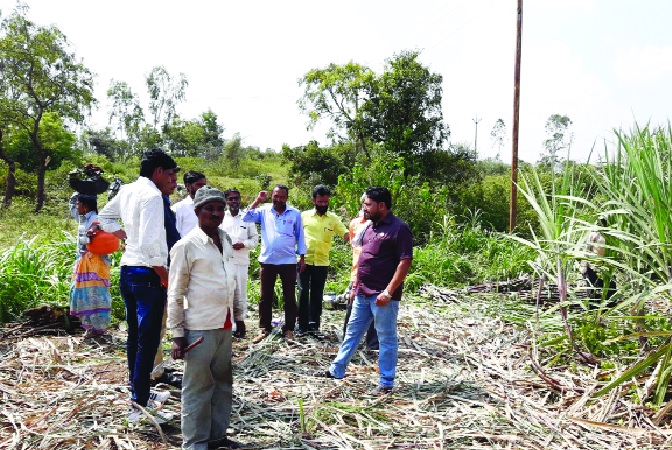  Parleet's 'Swabhimani' stopped the movement and took the agitation | पार्लेत ‘स्वाभिमानी’ने रोखली ऊसतोड-फडात घुसून आंदोलन
