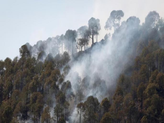 CAG has found a lot of irregularities in the Forests Division audit of Uttarakhand | झाडे लावण्यासाठी दिलेल्या निधीतून घेतला आयफोन-लॅपटॉप; कॅगच्या अहवालात वनविभागाबाबत धक्कादायक खुलासा CAG has found a lot of irregularities in the Forests Division audit of Uttarakhand | झाडे लावण्यासाठी दिलेल्या निधीतून घेतला आयफोन-लॅपटॉप; कॅगच्या अहवालात वनविभागाबाबत धक्कादायक खुलासा
