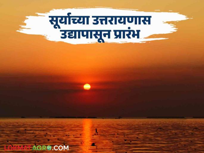 Uttarayan: What are you saying! The day is only 11.5 hours long and the night is 13.15 hours long. Read the detailed news | Uttarayan : काय सांगताय! दिवस अवघ्या पावणेअकरा तासांचा अन् रात्र सव्वातेरा तासांची वाचा सविस्तर वृत्त Uttarayan: What are you saying! The day is only 11.5 hours long and the night is 13.15 hours long. Read the detailed news | Uttarayan : काय सांगताय! दिवस अवघ्या पावणेअकरा तासांचा अन् रात्र सव्वातेरा तासांची वाचा सविस्तर वृत्त