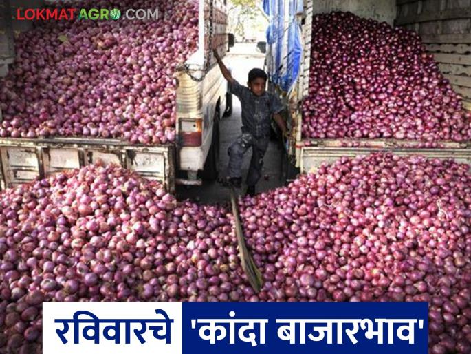Kanda Bazaar Bhav: Onion arrivals in Pune market increased; Read what is the price being offered | Kanda Bajar Bhav : पुणे बाजारात कांदा आवक वाढली; वाचा काय मिळतोय दर Kanda Bazaar Bhav: Onion arrivals in Pune market increased; Read what is the price being offered | Kanda Bajar Bhav : पुणे बाजारात कांदा आवक वाढली; वाचा काय मिळतोय दर