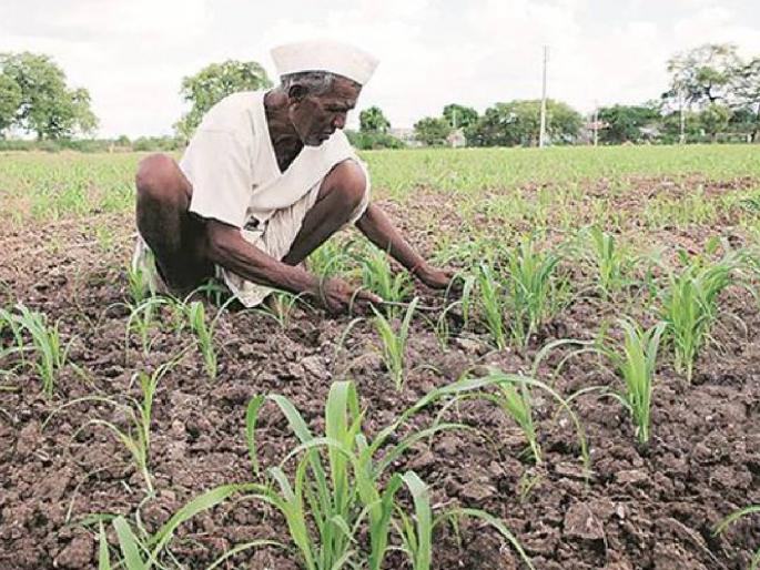 Thirteenth in drought... rain shown during continent | दुष्काळात तेरावा... खंड असताना दाखविला पाऊस  Thirteenth in drought... rain shown during continent | दुष्काळात तेरावा... खंड असताना दाखविला पाऊस