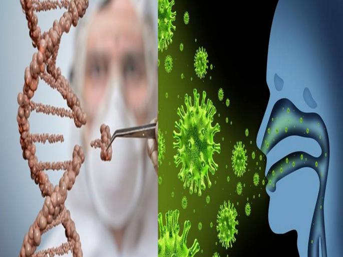Coronavirus research update gene editing tool this gene editing tool will eliminate corona virus | जीन एडिटींग टूलने कोरोनाचा होणार खात्मा; जाणून घ्या 'या' टूलने कसा नष्ट होईल विषाणू Coronavirus research update gene editing tool this gene editing tool will eliminate corona virus | जीन एडिटींग टूलने कोरोनाचा होणार खात्मा; जाणून घ्या 'या' टूलने कसा नष्ट होईल विषाणू
