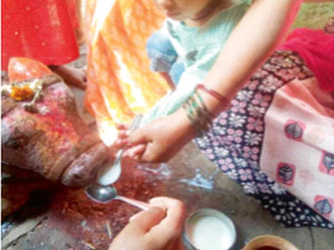 Rumors of Nandi drinking water in maharashtra | नंदी पाणी पीत असल्याच्या अफवेने झुंबड Rumors of Nandi drinking water in maharashtra | नंदी पाणी पीत असल्याच्या अफवेने झुंबड