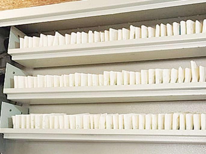 World Women's Day special. The only alternative to women empowerment | जागतिक महिला दिन विशेष। महिला सक्षमीकरणाच्या नुसत्याच वल्गना World Women's Day special. The only alternative to women empowerment | जागतिक महिला दिन विशेष। महिला सक्षमीकरणाच्या नुसत्याच वल्गना