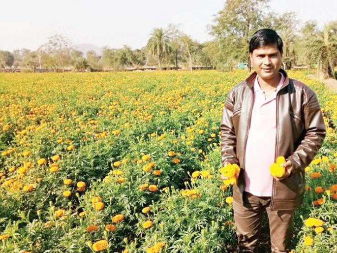 Kalpesh Patil from Ambeda Lakhpati from Zendu Agriculture | नोकरी न करता कल्पेश पाटील या तरूणाने घेतली यशस्वी झेप; वर्षभरात झाला लखपती Kalpesh Patil from Ambeda Lakhpati from Zendu Agriculture | नोकरी न करता कल्पेश पाटील या तरूणाने घेतली यशस्वी झेप; वर्षभरात झाला लखपती