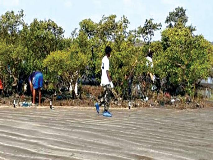 Cleanliness of World Environment Day Kandlavan | जागतिक पर्यावरण दिनी कांदळवनाची स्वच्छता Cleanliness of World Environment Day Kandlavan | जागतिक पर्यावरण दिनी कांदळवनाची स्वच्छता