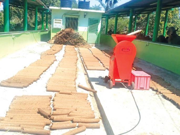 Hairstyles: Use of dung wood in Holi to Mira-Bhayander | केशवसृष्टीचा उपक्रम : मीरा-भाईंदरला होळीत शेणाच्या लाकडांचा वापर Hairstyles: Use of dung wood in Holi to Mira-Bhayander | केशवसृष्टीचा उपक्रम : मीरा-भाईंदरला होळीत शेणाच्या लाकडांचा वापर
