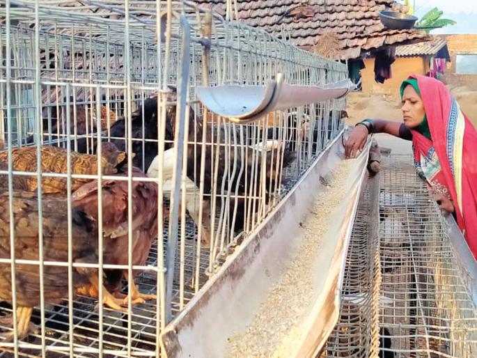 Raise the financial level of rural women and economically weaker families | ग्रामीण महिला व आर्थिकदृष्ट्या दुर्बल कुटुंबांचा आर्थिक स्तर उंचावणार Raise the financial level of rural women and economically weaker families | ग्रामीण महिला व आर्थिकदृष्ट्या दुर्बल कुटुंबांचा आर्थिक स्तर उंचावणार