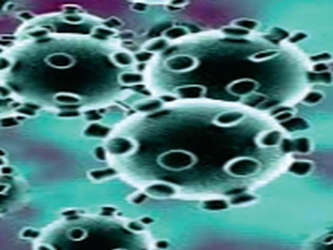 Corona Virus: Fear of Corona infection; Disaster Management Law applies | Corona Virus: कोरोना संसर्गाची भीती; आपत्ती व्यवस्थापन कायदा लागू Corona Virus: Fear of Corona infection; Disaster Management Law applies | Corona Virus: कोरोना संसर्गाची भीती; आपत्ती व्यवस्थापन कायदा लागू