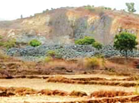 Environmental threat in Vasai taluka | वसई तालुक्यात पर्यावरण धोक्यात