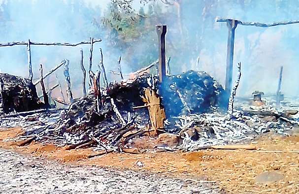 Two houses and three cattle in Pasodipad | पासोडीपाड्यातील दोन घरे व तीन गुरे खाक