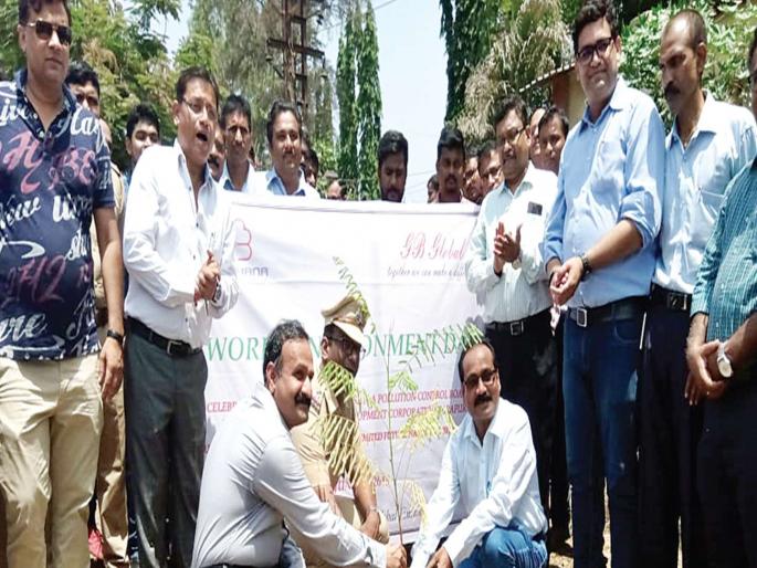It will be a unique program from the Environment Day throughout the year | पर्यावरण दिनापासून अनोखा उपक्रम वर्षभर राबवणार It will be a unique program from the Environment Day throughout the year | पर्यावरण दिनापासून अनोखा उपक्रम वर्षभर राबवणार