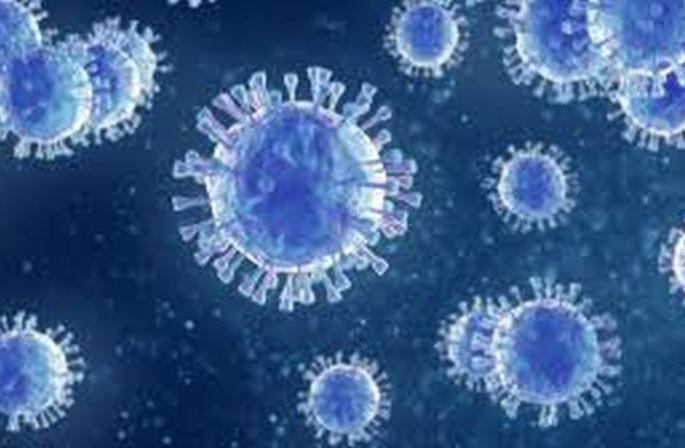 Another corona 64 positive in Buldana district; Number of patients 1 thousand 971 | बुलडाणा जिल्ह्यात आणखी कोरोना ६४ पॉझिटिव्ह; रुग्णसंख्या १ हजार ९७१