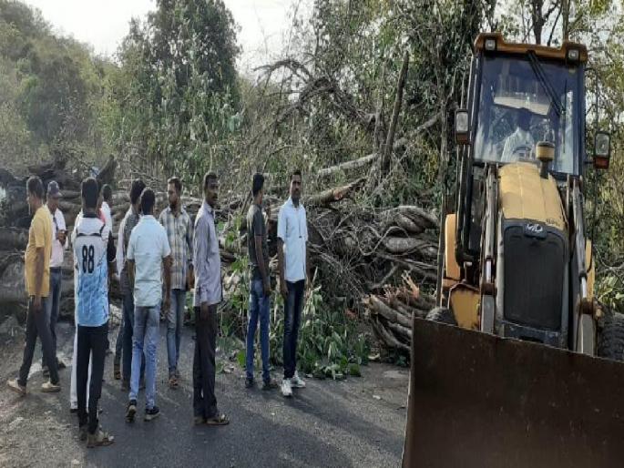 A banyan tree caught fire in the wildfire fell, traffic on the Sangameshwar-Devarukh highway was stopped for two hours | वणव्यात पेटलेले वडाचे झाड कोसळले, संगमेश्वर-देवरुख राज्यमार्गावरील वाहतूक दोन तास ठप्प A banyan tree caught fire in the wildfire fell, traffic on the Sangameshwar-Devarukh highway was stopped for two hours | वणव्यात पेटलेले वडाचे झाड कोसळले, संगमेश्वर-देवरुख राज्यमार्गावरील वाहतूक दोन तास ठप्प