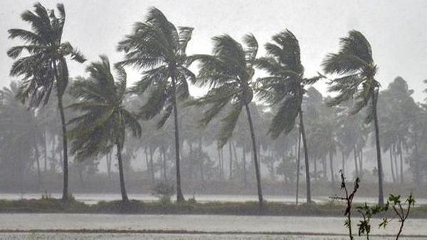 Hurricane warning at sea | समुद्रात चक्रीवादळाचा इशारा -होणार पर्जन्यवृष्टी Hurricane warning at sea | समुद्रात चक्रीवादळाचा इशारा -होणार पर्जन्यवृष्टी