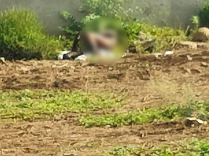 A dead body was found at Wadjal on the Pune-Pandharpur highway, police rushed to the spot | Satara: पुणे-पंढरपूर महामार्गावर वडजल येथे मृतदेह आढळला, पोलिस घटनास्थळी दाखल A dead body was found at Wadjal on the Pune-Pandharpur highway, police rushed to the spot | Satara: पुणे-पंढरपूर महामार्गावर वडजल येथे मृतदेह आढळला, पोलिस घटनास्थळी दाखल