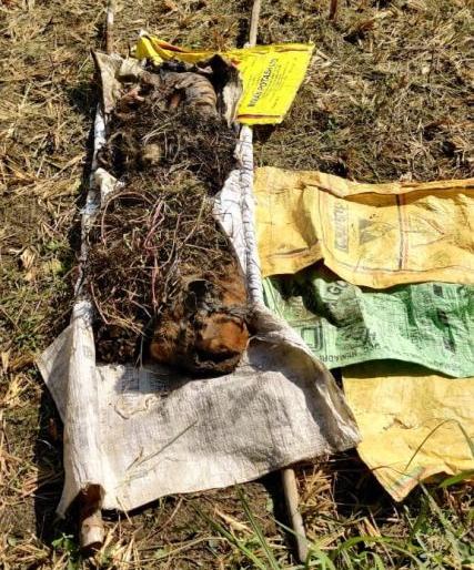 Leopard hunting in Lodhitola in Gondia district | गोंदिया जिल्ह्यातील लोधीटोलात पट्टेदार वाघाची शिकार
