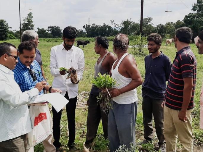 Panchanam started at Waghdu in Chalisgaon taluka | चाळीसगाव तालुक्यातील वाघडू येथे पंचनामे सुरू