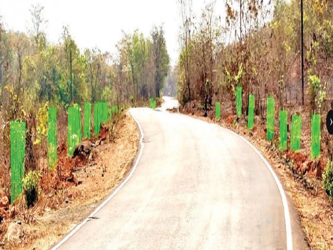 'Government plantations' on both sides of Vaibhavwadi Umbarde and Kharepatan Gaganbawda roads were scorched by the heat | Sindhudurg: उन्हाळ्यातील ‘वृक्षारोपण’; रोजगार निर्मितीच्या ‘माईलस्टोन’ ची चर्चा 'Government plantations' on both sides of Vaibhavwadi Umbarde and Kharepatan Gaganbawda roads were scorched by the heat | Sindhudurg: उन्हाळ्यातील ‘वृक्षारोपण’; रोजगार निर्मितीच्या ‘माईलस्टोन’ ची चर्चा