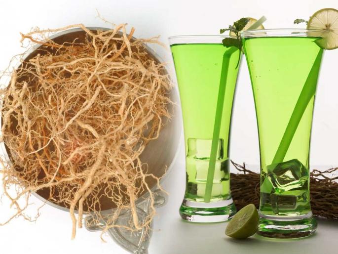 Vetiver roots for digestion, Aromatic medicinal roots, Budget-friendly natural health tip | घरी आणा वाळा आणि पचनाच्या समस्या टाळा - १० रुपयांची ही सुगंधी मुळी पोटाला ठेवते शांत, चवीलाही भारी Vetiver roots for digestion, Aromatic medicinal roots, Budget-friendly natural health tip | घरी आणा वाळा आणि पचनाच्या समस्या टाळा - १० रुपयांची ही सुगंधी मुळी पोटाला ठेवते शांत, चवीलाही भारी