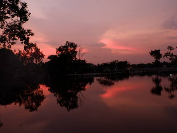 Thousands of people cut their hair to clean the lake | तलाव स्वच्छतेसाठी हजारो लोक कापताहेत केस Thousands of people cut their hair to clean the lake | तलाव स्वच्छतेसाठी हजारो लोक कापताहेत केस