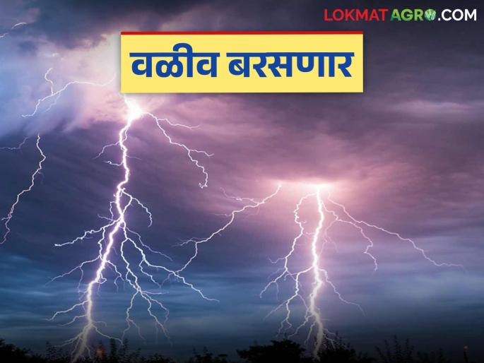 Weather Update Maharashtra : Yellow alert for rain in these districts of the state; possibility of hailstorm | Weather Update Maharashtra : राज्यात या जिल्ह्यांत पावसाचा यलो अलर्ट; गारपिटीची शक्यता Weather Update Maharashtra : Yellow alert for rain in these districts of the state; possibility of hailstorm | Weather Update Maharashtra : राज्यात या जिल्ह्यांत पावसाचा यलो अलर्ट; गारपिटीची शक्यता
