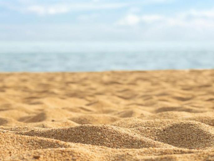 How many metric tons of sand does a family need in a month? The information sought by the High Court | एक कुटुंबाला एक महिन्यात किती मेट्रिक टन वाळू लागते? उच्च न्यायालयाने मागितली माहिती How many metric tons of sand does a family need in a month? The information sought by the High Court | एक कुटुंबाला एक महिन्यात किती मेट्रिक टन वाळू लागते? उच्च न्यायालयाने मागितली माहिती