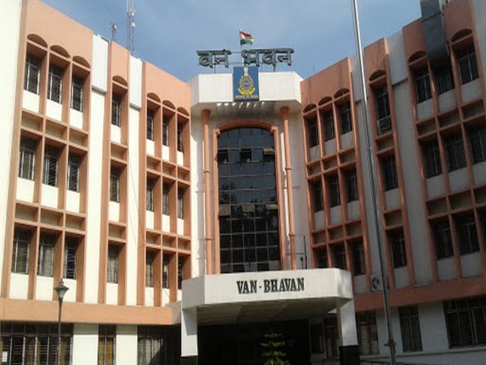 Reshuffle in the Forest Department! M. Srinivas Rao Pradhan transferred to the post of Chief Conservator of Forests | वन खात्यात खांदेपालट! एम. श्रीनिवास राव प्रधान यांची मुख्य वनसंरक्षक पदावर बदली Reshuffle in the Forest Department! M. Srinivas Rao Pradhan transferred to the post of Chief Conservator of Forests | वन खात्यात खांदेपालट! एम. श्रीनिवास राव प्रधान यांची मुख्य वनसंरक्षक पदावर बदली