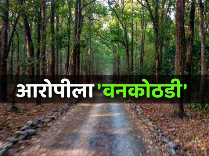 man who said the owner asked him to set fire to the trees finally sent to custody | ‘तो’ म्हणाला- मालकाने झाडांना आग लावायला सांगितली; अखेर कोठडीत झाली रवानगी man who said the owner asked him to set fire to the trees finally sent to custody | ‘तो’ म्हणाला- मालकाने झाडांना आग लावायला सांगितली; अखेर कोठडीत झाली रवानगी