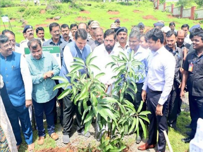 Inquiry into 50 crore tree planting during the alliance period started | फडणवीस सरकारच्या काळातील ५० कोटी वृक्षलागवडीची चौकशी सुरू; २ हजार कोटी झाले होते खर्च Inquiry into 50 crore tree planting during the alliance period started | फडणवीस सरकारच्या काळातील ५० कोटी वृक्षलागवडीची चौकशी सुरू; २ हजार कोटी झाले होते खर्च