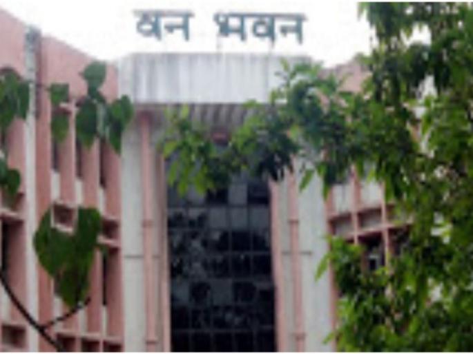 The convention also has 'tension' over the Corona Forest Department. | कोरोनाग्रस्त वन विभागावर अधिवेशनाचेही ‘टेन्शन’