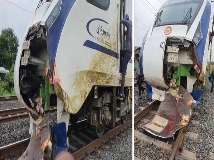 Vande Bharat Train Accident: 'Vande Bharat Train' was hit by buffaloes, Railway filed a case against the owners | Vande Bharat Train Accident:अजब कायदा; 'वंदे भारत ट्रेन'ला म्हशी धडकल्या, रेल्वेने मालकांविरोधात दाखल केला गुन्हा Vande Bharat Train Accident: 'Vande Bharat Train' was hit by buffaloes, Railway filed a case against the owners | Vande Bharat Train Accident:अजब कायदा; 'वंदे भारत ट्रेन'ला म्हशी धडकल्या, रेल्वेने मालकांविरोधात दाखल केला गुन्हा