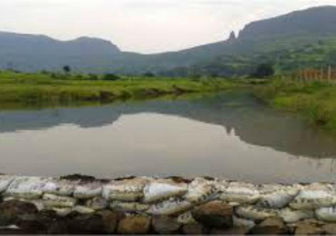 The Solapur Zilla Parishad will implement the Vanrai Bundra movement | सोलापूर जिल्हा परिषद राबविणार वनराई बंधारे चळवळ