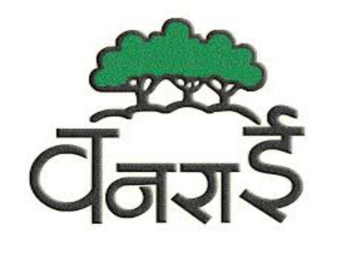 20 teams in final in Vanrai Karandak final; Primary round completed in Pune | वनराई करंडकाच्या अंतिम फेरीत २० संघ दाखल; पुण्यात झाली प्राथमिक फेरी 20 teams in final in Vanrai Karandak final; Primary round completed in Pune | वनराई करंडकाच्या अंतिम फेरीत २० संघ दाखल; पुण्यात झाली प्राथमिक फेरी