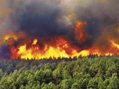 Two young men extinguished the fire on Sarasgad | दोन तरुणांनी विझवला सरसगडावरील वणवा Two young men extinguished the fire on Sarasgad | दोन तरुणांनी विझवला सरसगडावरील वणवा