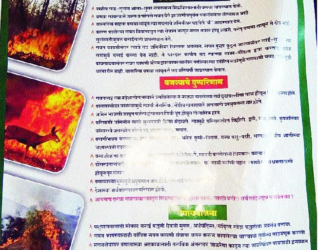 'Poaching information quickly' on forest department | वनविभागाच्या मोबाईलवर ‘द्या शिकारीची माहिती पटकन’ 'Poaching information quickly' on forest department | वनविभागाच्या मोबाईलवर ‘द्या शिकारीची माहिती पटकन’