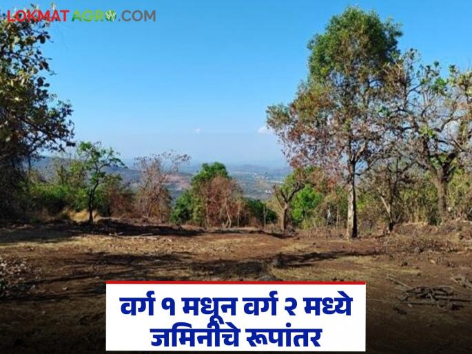 Latest news How to convert Bhogwatdar Class 2 land to Bhogwatdar Class 1 land Read the complete process | भोगवटदार वर्ग 2 जमिनीचे रुपांतर भोगवटदार वर्ग 1 मध्ये कसे करायचे? वाचा संपूर्ण प्रक्रिया
