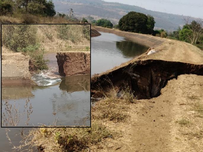 Warna left canal collapsed at Kusalewadi in Sangli district | Sangli: वारणा डाव्या कालव्याला पडले भगदाड, लाखो लिटर पाणी गेले वाया  Warna left canal collapsed at Kusalewadi in Sangli district | Sangli: वारणा डाव्या कालव्याला पडले भगदाड, लाखो लिटर पाणी गेले वाया