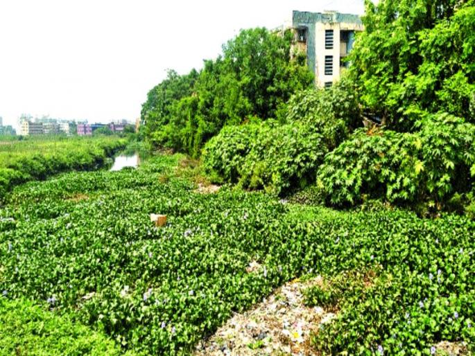 broil on underground drainage in Vasai-Virar | वसई-विरारमध्ये भुयारी गटारांवरुन कलगीतुरा broil on underground drainage in Vasai-Virar | वसई-विरारमध्ये भुयारी गटारांवरुन कलगीतुरा