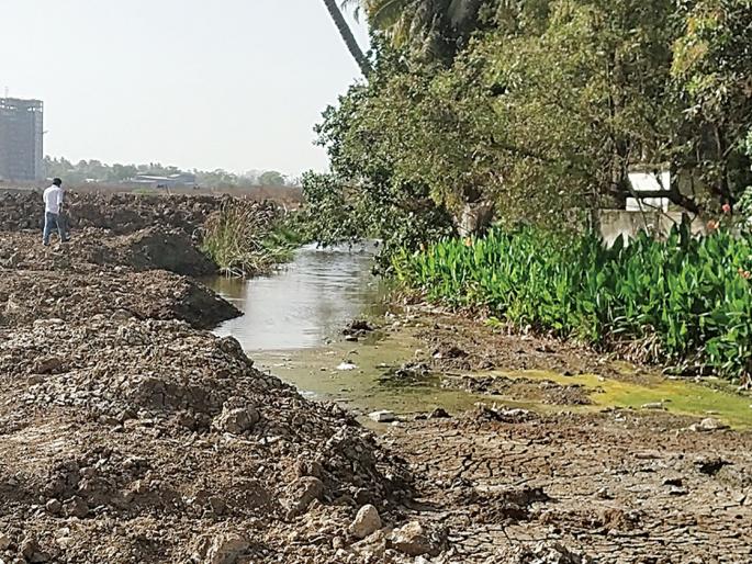Natural gutters in trouble; Vasai drown again? | नैसर्गिक नाले संकटात; वसई पुन्हा बुडणार ? Natural gutters in trouble; Vasai drown again? | नैसर्गिक नाले संकटात; वसई पुन्हा बुडणार ?