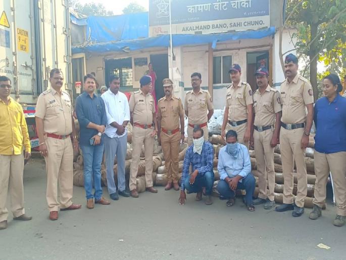 Sandalwood stock worth crores of rupees seized in Vasai, joint operation of Waliv Police and Forest Department | वसईत कोट्यावधी रुपयांचा चंदनाचा साठा पकडला, वालीव पोलीस आणि वनविभागाची संयुक्त कारवाई Sandalwood stock worth crores of rupees seized in Vasai, joint operation of Waliv Police and Forest Department | वसईत कोट्यावधी रुपयांचा चंदनाचा साठा पकडला, वालीव पोलीस आणि वनविभागाची संयुक्त कारवाई